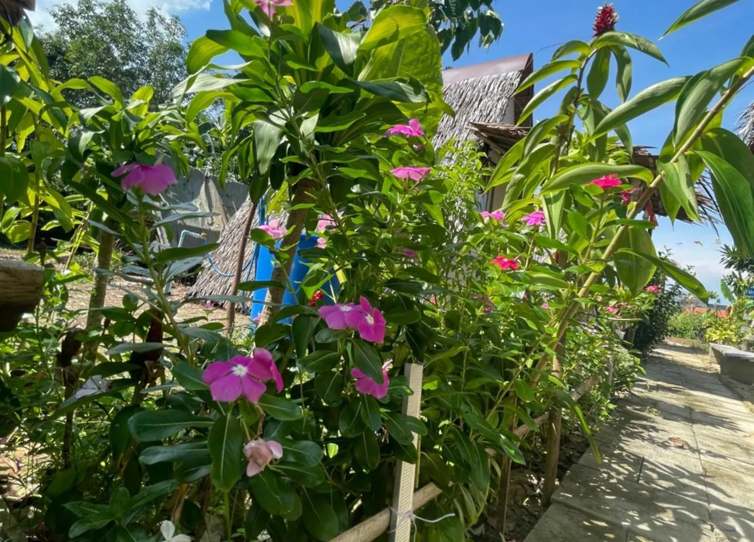 Campingplatz Hotel Phuketairportcamping Ban Bo Sai Klang